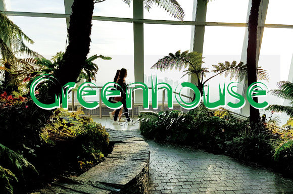 Grassitto Font - Preview 2