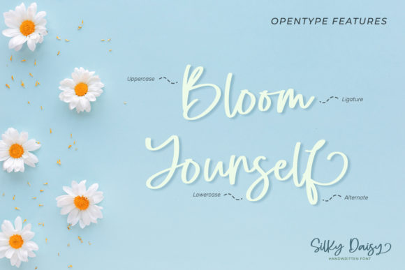 Silky Daisy Font PNG with transparent background - Preview 4