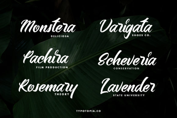Bellerin Font - Preview 6