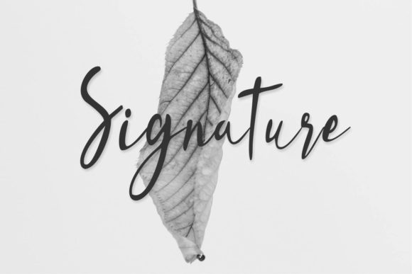 Handmade Signature Font - Preview 2