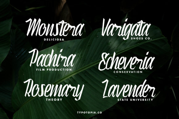 Munich Font font preview - 6