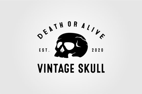 Vintage Skull Logo Vector Illustration