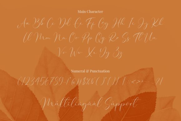 Costa Riyal Font - Preview 2
