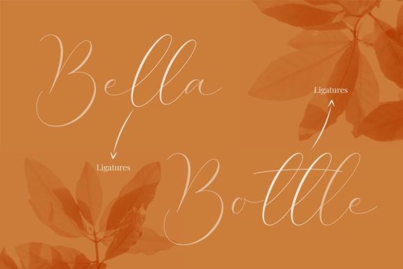 Costa Riyal Font - Preview 4