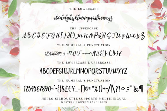 Hello Scrilla Script Font  Font - Preview 2