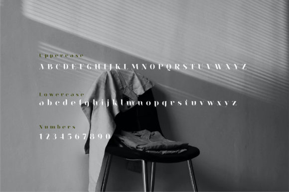 Emility Font - Preview 2