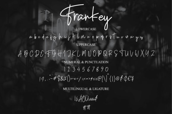 Frankey Font PNG with transparent background - Preview 4