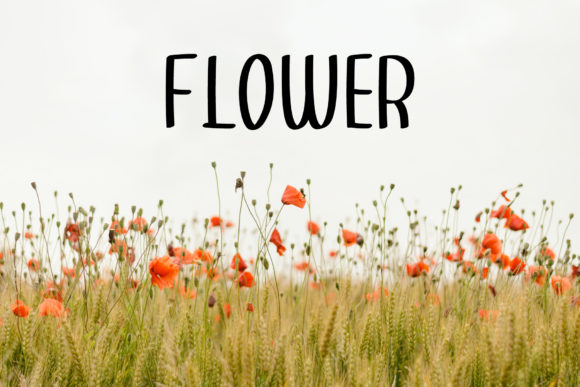 Lemone Summer Font PNG with transparent background - Preview 4