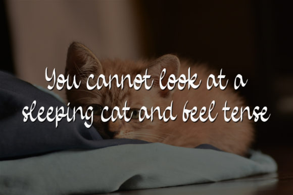 Baby Cat Font - Preview 1