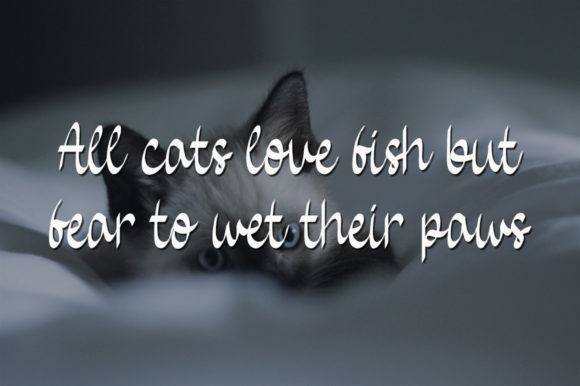 Baby Cat Font - Preview 2