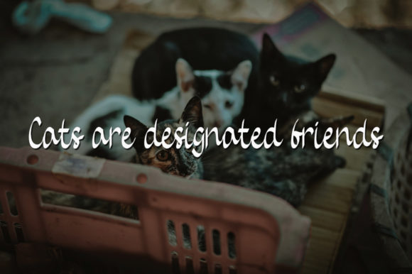 Baby Cat Font - Preview 3