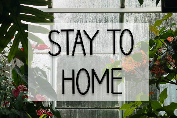 Great House Font PNG with transparent background - Preview 4