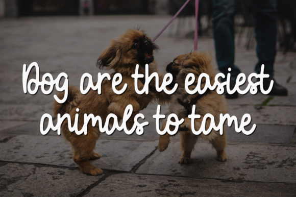 Little Dog Font PNG with transparent background - Preview 1