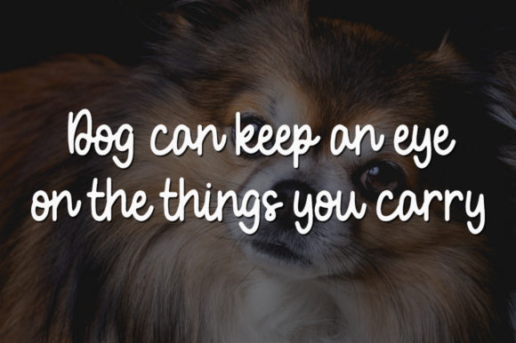 Little Dog Font PNG with transparent background - Preview 3