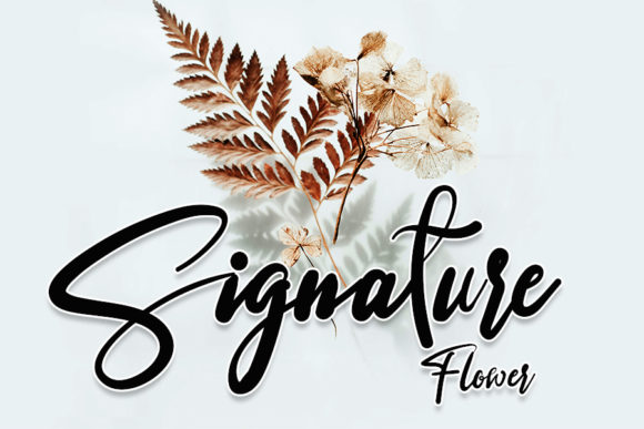 Sannastasa Font PNG with transparent background - Preview 1