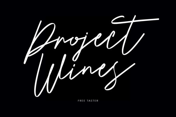 Boutique Kamilla Font - Preview 5