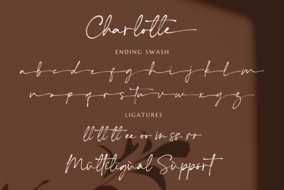 Charlotte Font - Preview 3
