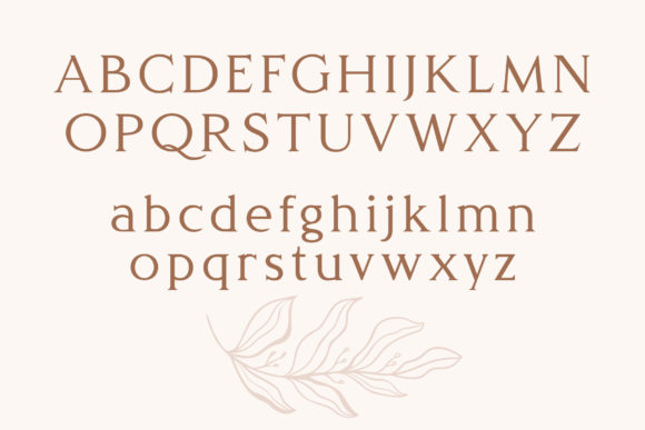 Delight Font - Preview 2