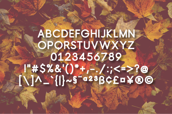 Experland Font - Preview 1