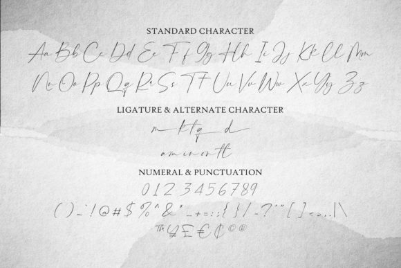 Hammington Signature Font - Preview 2