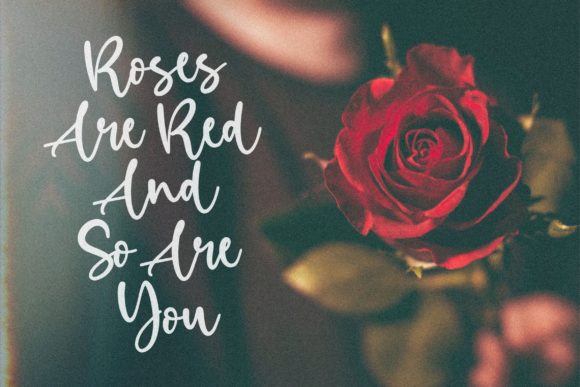 Birdlove Font - Preview 2