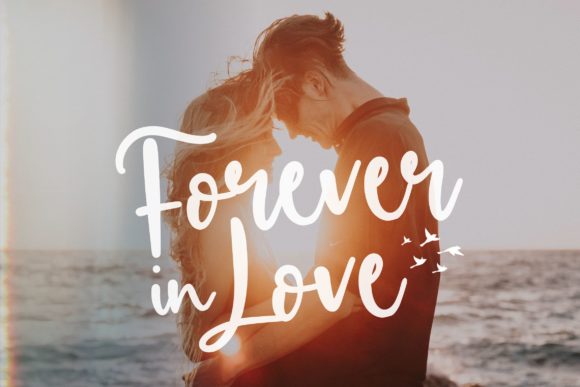 Birdlove Font - Preview 3