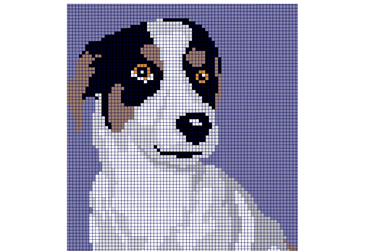 Jack Russel Corner to Corner Throw