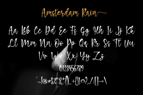 Amsterdam Rain Font - Preview 3