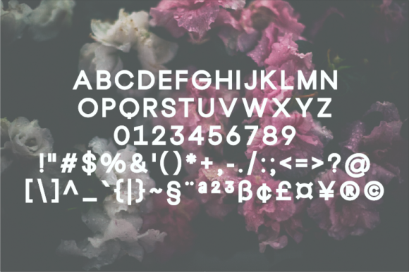 Coredane Font - Preview 1