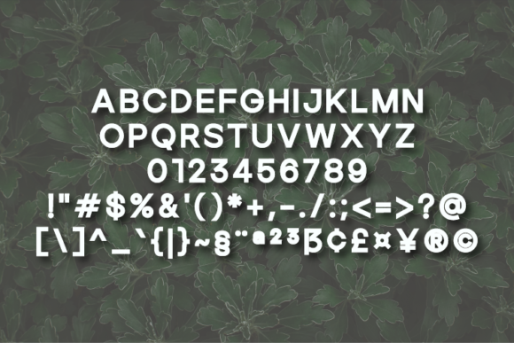 Muellert Font font preview - 1