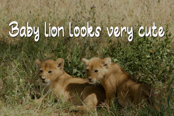 Baby Lion Font - Preview 1