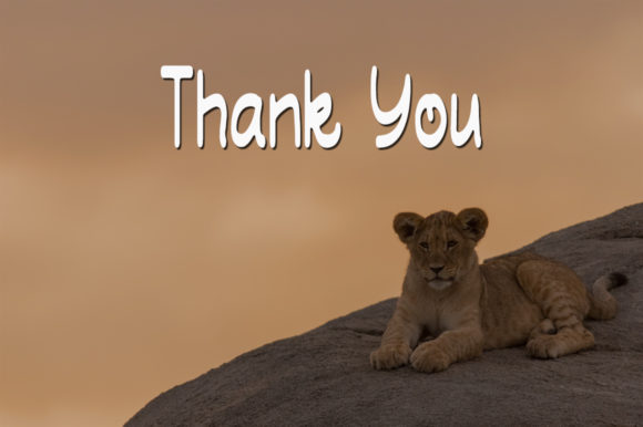 Baby Lion Font - Preview 4