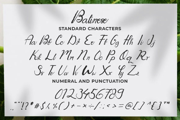 Balinese Font - Preview 1