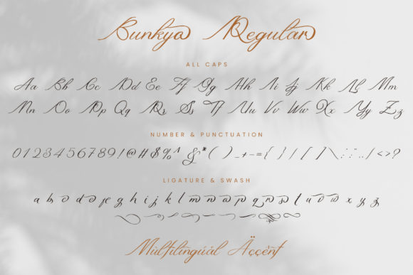 Bunkyo Font - Preview 4
