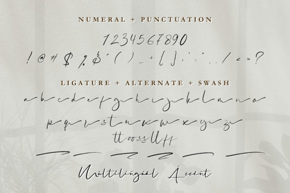 Katagami Signature Font PNG with transparent background - Preview 5