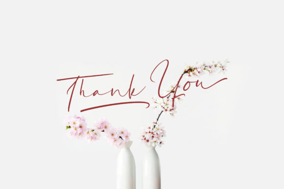 Katagami Signature Font PNG with transparent background - Preview 6