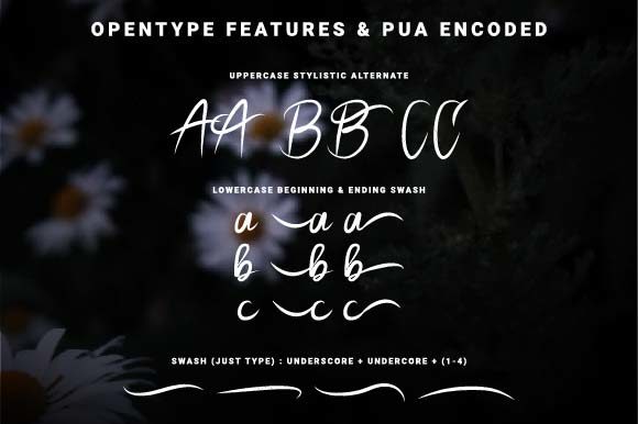Pecattes Font PNG with transparent background - Preview 4