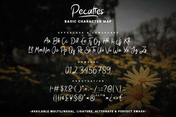 Pecattes Font PNG with transparent background - Preview 5