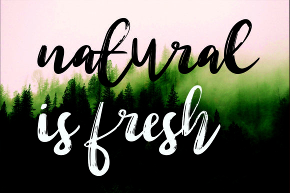 Chef Diah Mellow Font - Preview 3