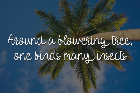 Coconut Tree Font - Preview 1