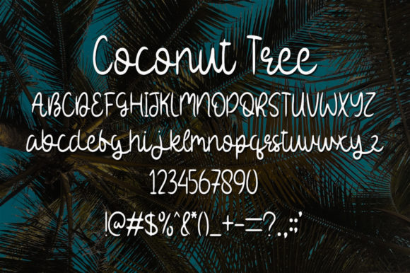 Coconut Tree Font - Preview 3