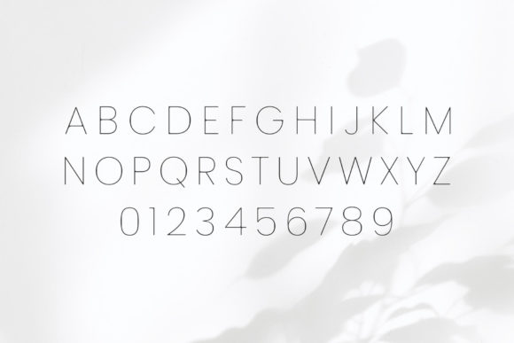 Desiras Font - Preview 1