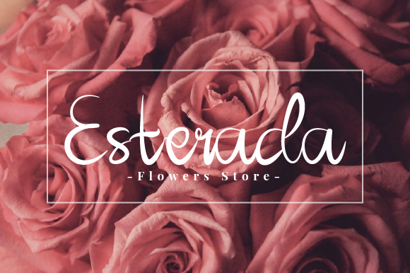 Ellyra Forta Font PNG with transparent background - Preview 3