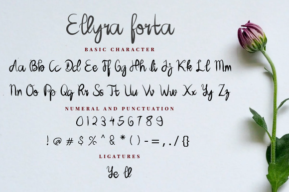 Ellyra Forta Font PNG with transparent background - Preview 5