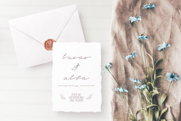 Serene Beauty Font PNG with transparent background - Preview 5