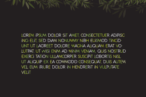 Bamboo Font - Preview 2