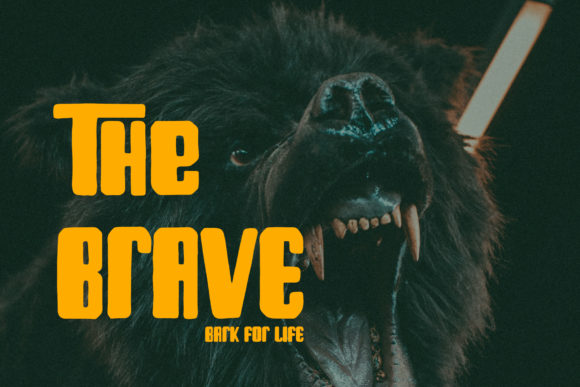 Bark for Life Font - Preview 1