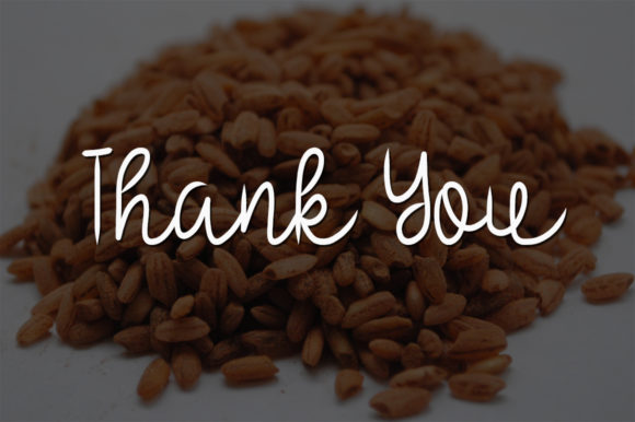 Brown Rice Font - Preview 4