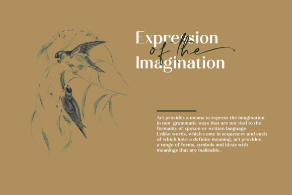 Calton Elegance Duo Font - Preview 2