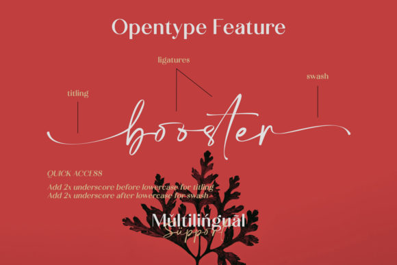 Calton Elegance Duo Font - Preview 4